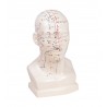 Čínská akupunkturní hlava