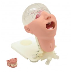Profesionální simulátor ústní péče