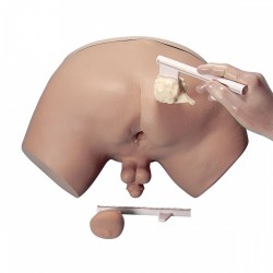 Simulátor pro vyšetření prostaty
