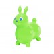 Skákací králík Raffy Gymnic - zelená