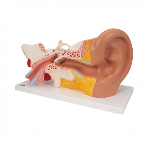 Ucho třikrát zvětšeno - 6 částí